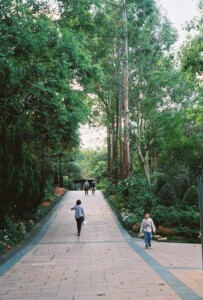Tai Po Waterfront Park