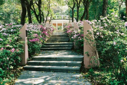 Tai Po Waterfront Park