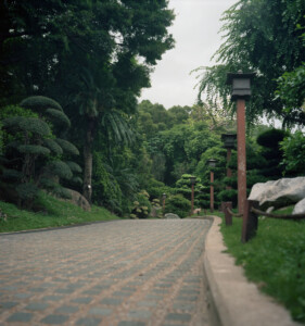 Chi Lin Nunnery