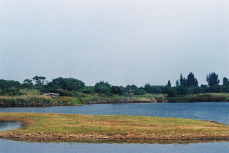 HK_Wetland_Park_02a