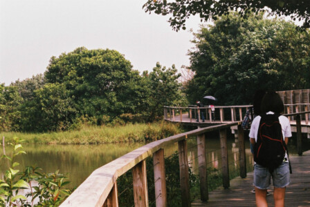 HK_Wetland_Park_11