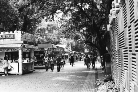 guangzhou13