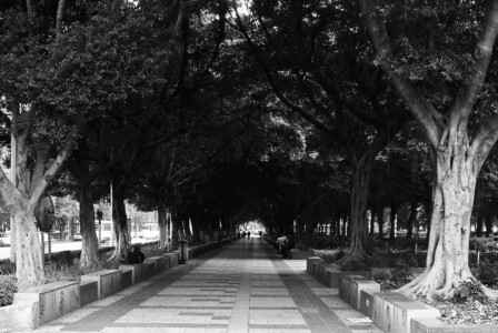 guangzhou_19a