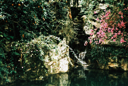 Hong Kong Park 7