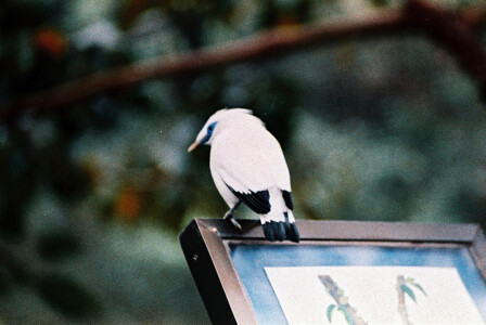 Hong Kong Park 9